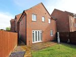 Thumbnail for sale in Victor Close, Shortstown, Bedford, Bedfordshire