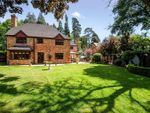 Thumbnail to rent in St Marys Hill, Ascot