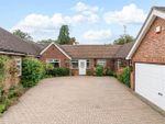 Thumbnail to rent in Falconers Park, Sawbridgeworth