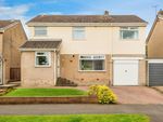Thumbnail for sale in Chestnut Drive, Sheffield, South Yorkshire