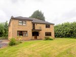 Thumbnail for sale in Farlough Road, Dungannon, Dungannon