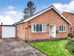 Thumbnail to rent in Vale View, Copt Hewick, Ripon