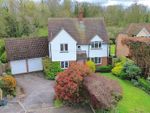 Thumbnail to rent in The Hopgrounds, Finchingfield, Braintree