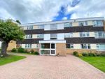 Thumbnail to rent in Albany Gardens, Solihull, Solihull