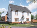 Thumbnail to rent in "The Spruce" at Morpeth Close, Peterborough