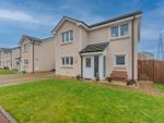 Thumbnail to rent in Mcleod Road, Alloa