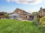 Thumbnail for sale in Dodsley Grove, Easebourne, West Sussex