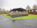 Thumbnail for sale in Lodge 17, Riverview Holiday Park Mangerton Newcastleton