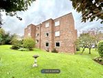 Thumbnail to rent in Broadlands Rise, Taunton
