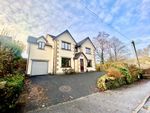 Thumbnail for sale in Padiham Road, Sabden, Clitheroe