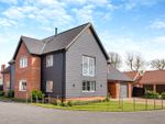 Thumbnail for sale in Copperfield Court, Pulham Market, Diss, Norfolk