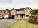 Thumbnail to rent in Bracon Close, Belton, Doncaster