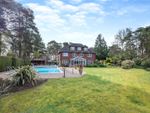 Thumbnail to rent in Clumps Road, Lower Bourne, Farnham, Surrey