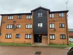Thumbnail to rent in Stagshaw Drive, Peterborough