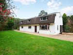 Thumbnail for sale in Camp End Road, Weybridge, Surrey