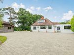 Thumbnail for sale in Hogs Hill, Fernhurst, Haslemere, Surrey