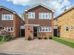 Thumbnail for sale in Parsonage Field, Doddinghurst, Brentwood