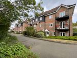 Thumbnail for sale in Freer Crescent, High Wycombe