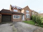 Thumbnail for sale in Thiseldine Close, North Newbald, York