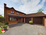 Thumbnail for sale in Monarch Close, Abbeymead, Gloucester