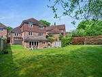 Thumbnail for sale in Benifold Place, Fernhurst, Haslemere, Surrey