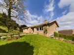 Thumbnail for sale in Selwyn Close, Ryeford, Stonehouse