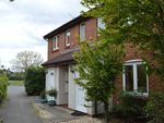 Thumbnail to rent in Shaw Drive, Walton-On-Thames