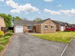 Thumbnail for sale in Meadow Vale, Seaton, Workington