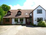 Thumbnail to rent in Sycamore Close, Chalfont St. Giles, Buckinghamshire