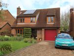 Thumbnail to rent in Furzehall Avenue, Fareham, Hampshire