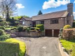 Thumbnail to rent in Mill End, West Chiltington