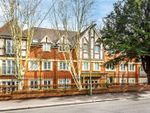 Thumbnail to rent in Wray Common Road, Reigate, Surrey