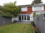 Thumbnail for sale in Rowsley Road, Eastbourne