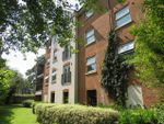 Thumbnail to rent in Woodfield Road, Crawley
