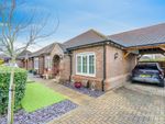 Thumbnail for sale in Nightingale Lane, Barnham, Bognor Regis