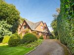 Thumbnail for sale in Harley Lane, Heathfield, East Susssex