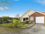 Thumbnail for sale in Brantwood Close, Paignton