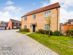 Thumbnail for sale in Gunns Close, Blofield, Norwich