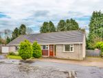 Thumbnail to rent in Laigh Mount, Ayr