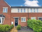 Thumbnail to rent in Darnell Way, Northampton