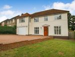 Thumbnail for sale in Musgrave Avenue, East Grinstead