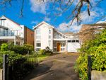 Thumbnail to rent in Hermitage Walk, South Woodford, London