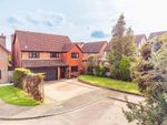 Thumbnail to rent in Isbets Dale, Taverham