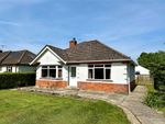 Thumbnail to rent in Manor Road, Verwood