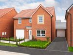 Thumbnail to rent in "Ripon" at Blenheim Avenue, Brough