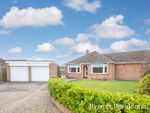 Thumbnail for sale in Court Road, Rollesby, Great Yarmouth