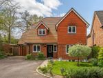 Thumbnail for sale in Portsmouth Road, Hindhead