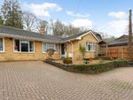 Thumbnail to rent in Medstead Road, Beech, Alton