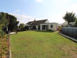 Thumbnail for sale in Buckland Road, Seaford