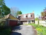 Thumbnail to rent in Amberley, West Sussex